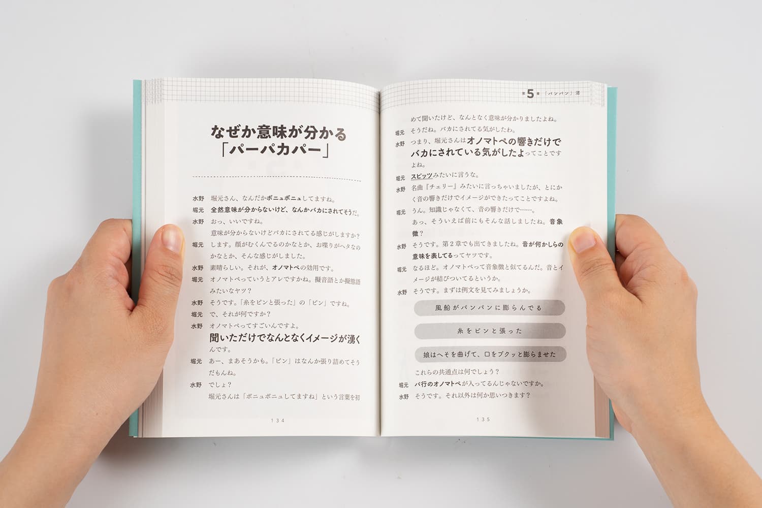 VB出版】復刻版 言語オタクが友だちに700日間語り続けて引