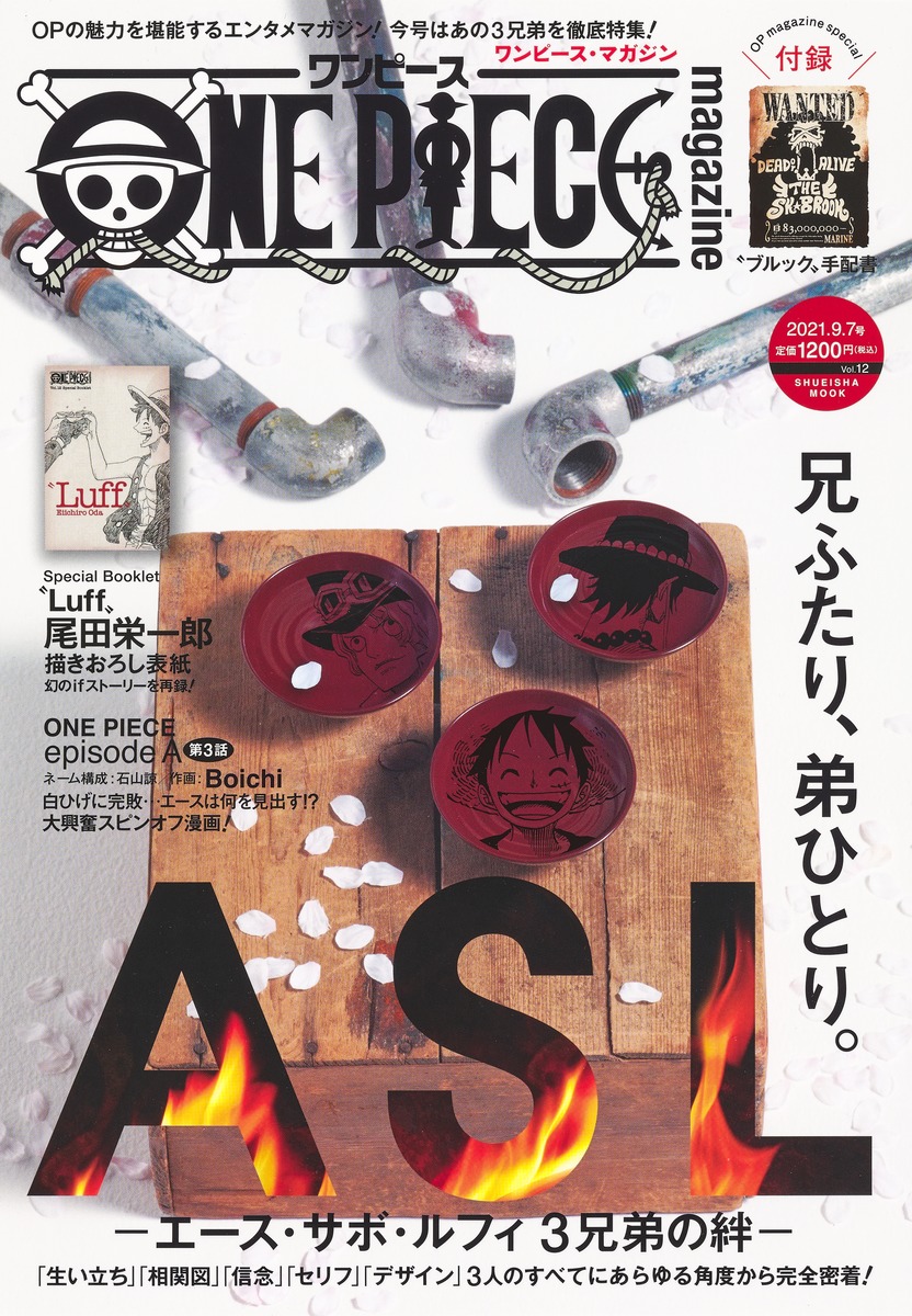 One Piece Magazine Vol 12 特集 Asl エース サボ ルフ 検索 古本買取のバリューブックス