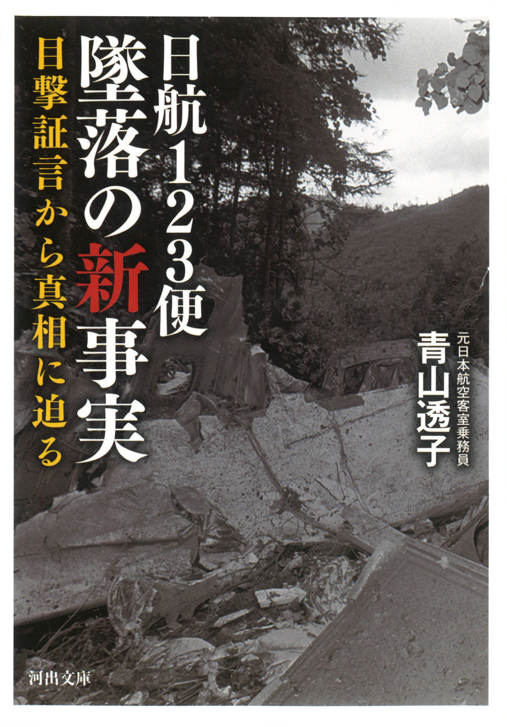 日航123便墜落の新事実 (河出文庫) | 検索 | 古本買取のバリューブックス