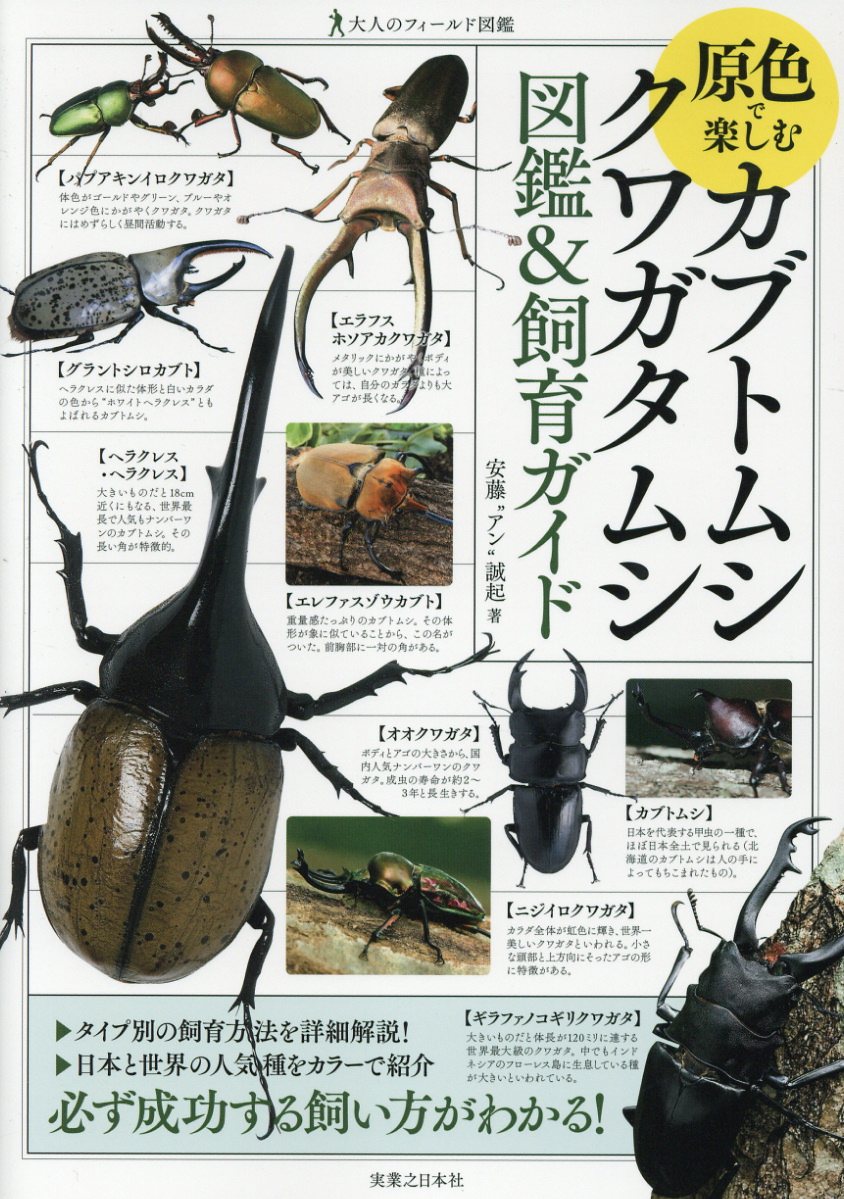 原色で楽しむカブトムシ クワガタムシ図鑑 飼育ガイド 大 検索 古本買取のバリューブックス