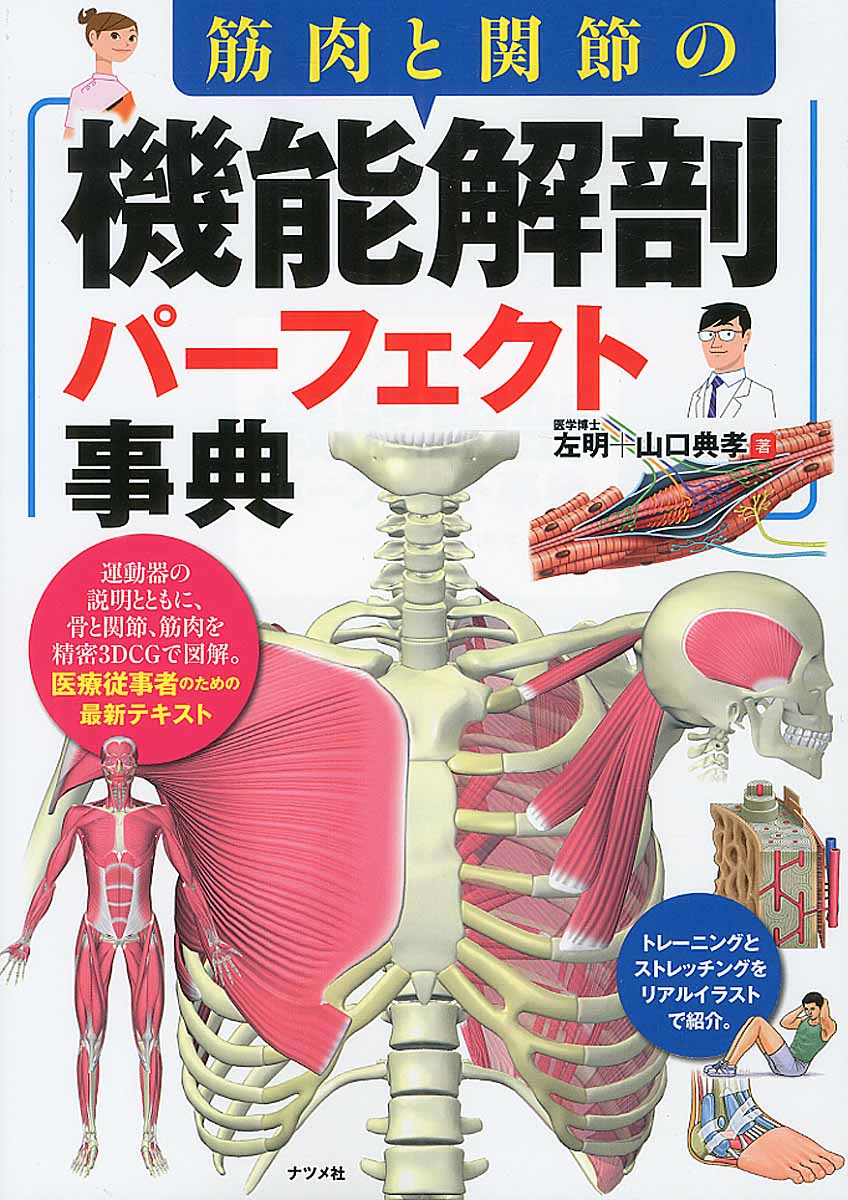 筋肉と関節の機能解剖パーフェクト事典 検索 古本買取のバリューブックス