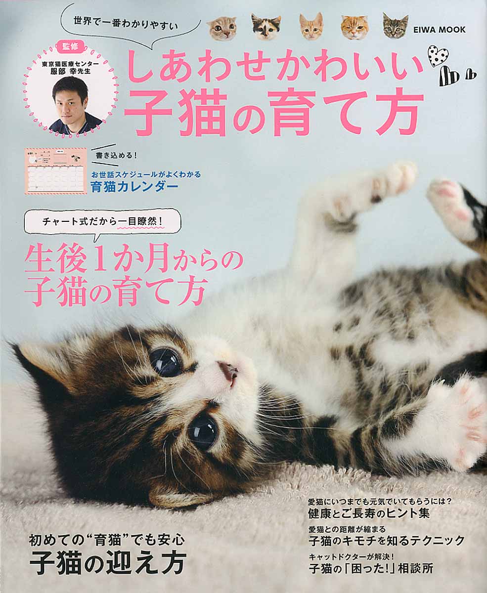 しあわせかわいい子猫の育て方 Eiwa Mook 検索 古本買取のバリューブックス