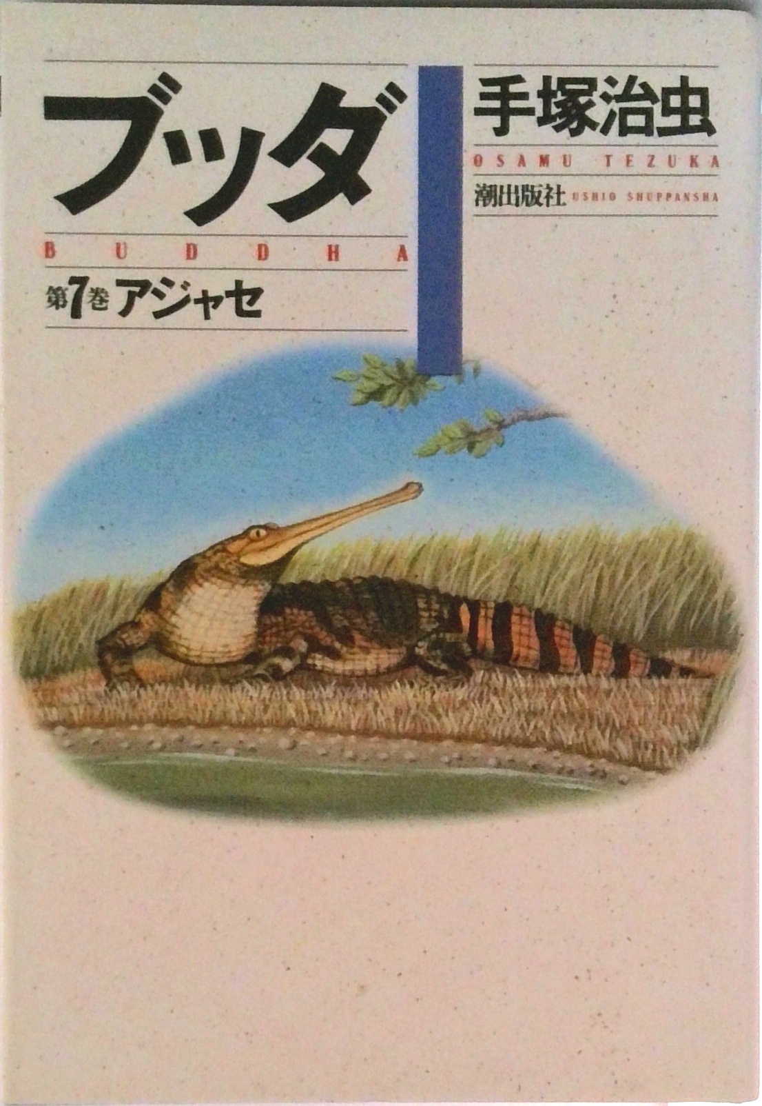ブッダ | 中古本の販売・買取はバリューブックス