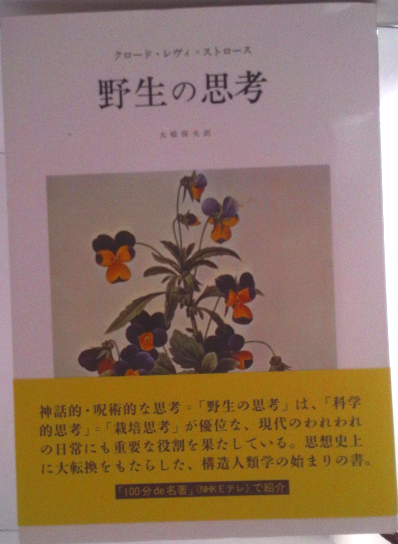 野生の思考 | 検索 | 古本買取のバリューブックス